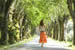 woman walking in the Borgo grounds