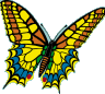 butterfly logo