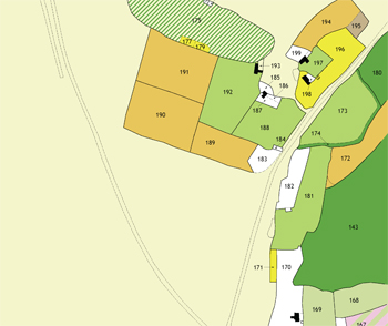 Redrawn Tithe Map. Colours are land use