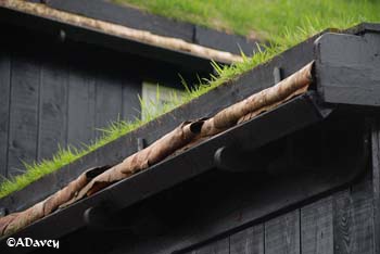 Torshavn gutters