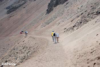 Atacama seaside