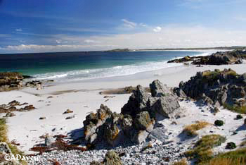 Surf Bay, Stanley