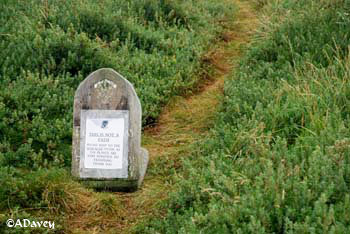 Samphire Hoe