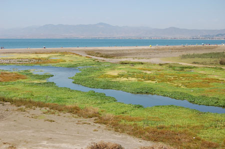 River at Coquimbo, Chile