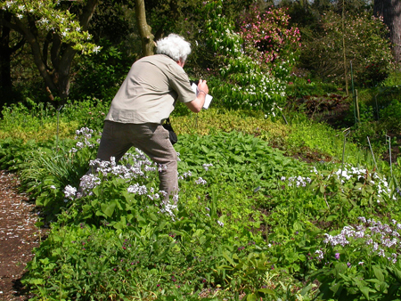 Simon Davey at Wisley Gardens