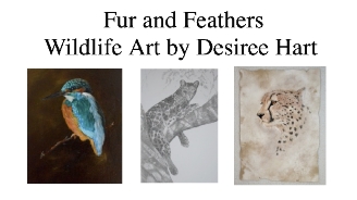 FurandFeathers