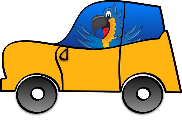 ParrotInCar