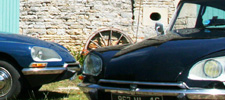 Picure of the Citroens in the farm courtyard